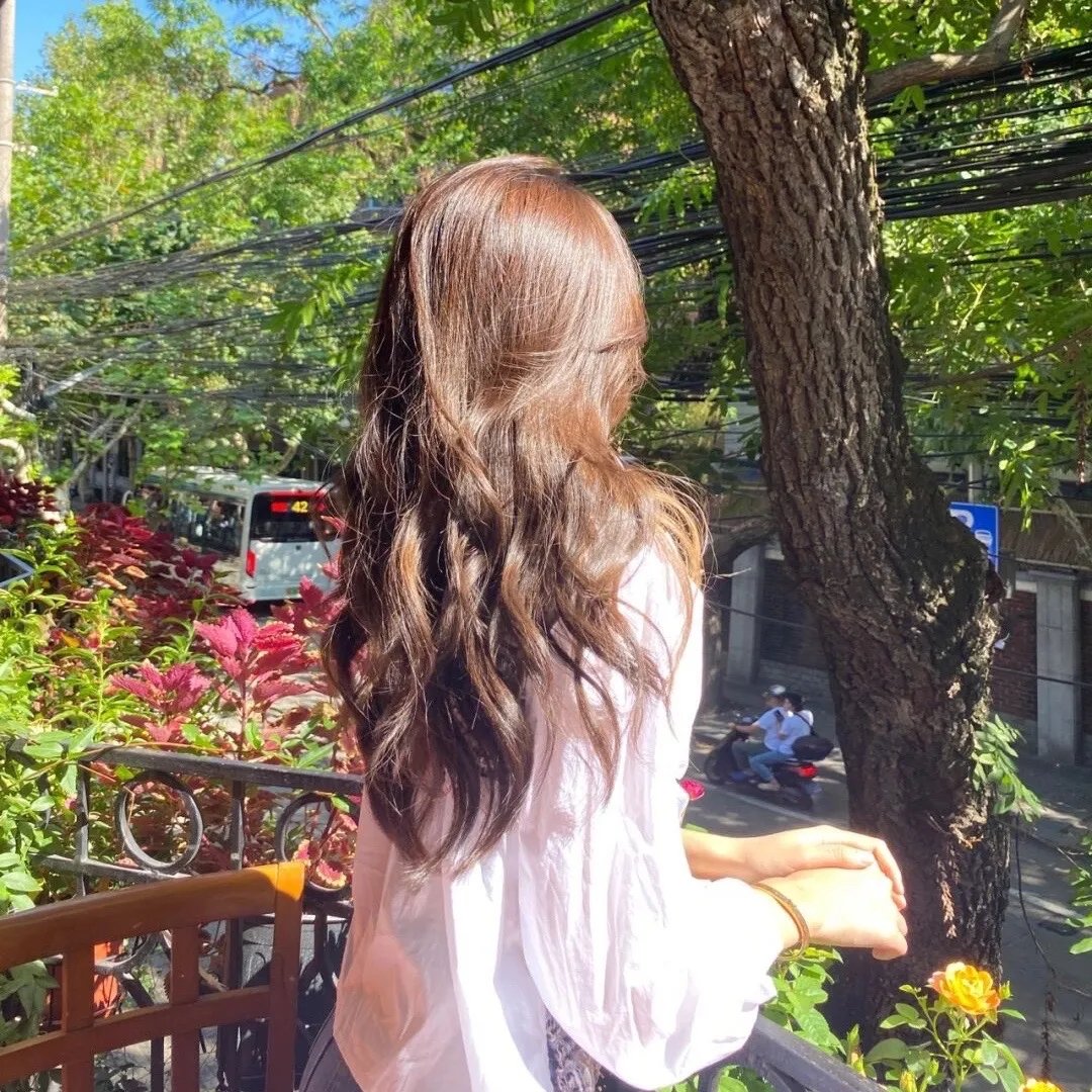 娇凤三姐妹